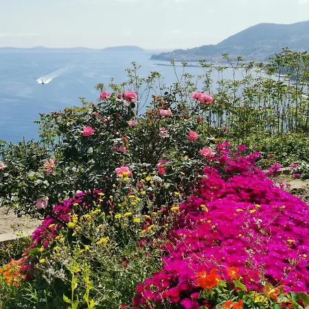 In Collina E Vista Mare Apartment Ischia